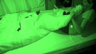 Lively Cats Play In Bed While Owner Is Sleeping