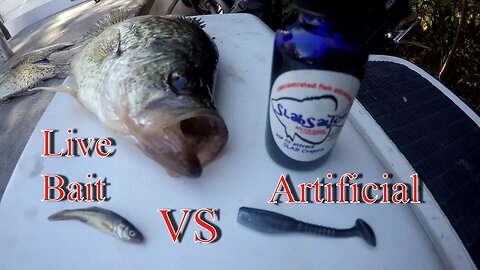 Live Minnow VS Artificial Minnow Crappie Fishing CHALLENGE