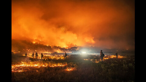 Maui Fires - Joe Rogan and Tulsi Gabbard