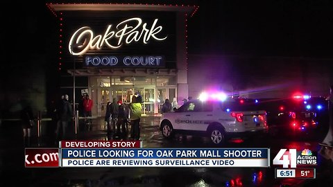 Witnesses recount confusion, shock after gunshots fired outside Oak Park Mall