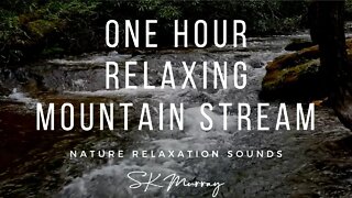 One Hour Mountain Stream-Relaxing Nature River Sounds-No Birds-Calming Water Sound-Babbling Brook