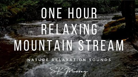 One Hour Mountain Stream-Relaxing Nature River Sounds-No Birds-Calming Water Sound-Babbling Brook