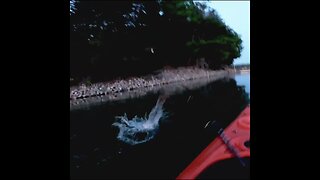 smallmouth at night