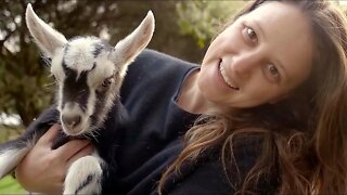 Our dairy goat's surprise birth! **WARNING graphic** Free Range Homestead Ep 23