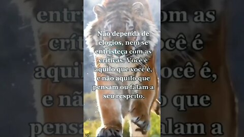 Não Dependa De Elogios #reflexao #deus #mensagemdodia #deusnocomando #deusdoimpossivel #shorts