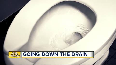 To flush or not to flush: Plumbers warn of drain dangers at home, in city