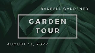 Aug 17, 2022 garden short tour