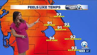 South Florida Wednesday afternoon forecast (5/30/18)