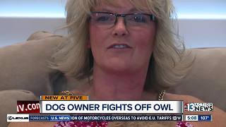 Dog owner fights off owl