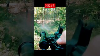 @DanielDefenseOfficial #mk18 steel tree target #shorts #trending #pewpew #guns #viral #shortsvideo