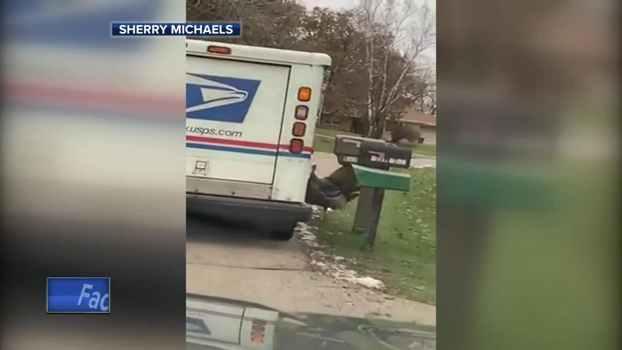 Pewaukee mail carrier 'stalked' by turkey for months