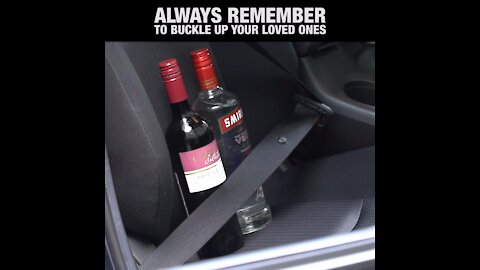 Always Remember to Buckle Up Your Loved Ones [GMG Originals]