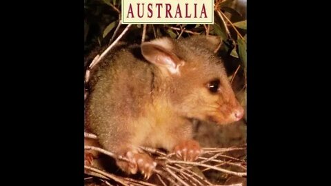 Wild Australia: Animals of Australia In Close Up (1987)