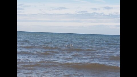 Blackpool beach