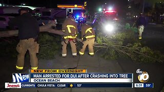 Driver suspected of DUI after crashing into tree