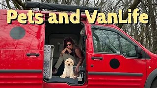 VanLife | pros and cons of pets in vans