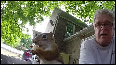 If You Think Squirrels Only LOOK Cute, Wait Until You Hear This One.