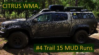 Citrus WMA 4 - Trail 15 Mud Runs w/ ZR2 Bison