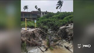 Sea Turtle nests destroyed after Tropical Storm Sally