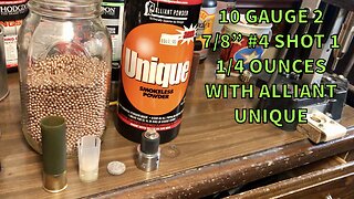 10 Gauge 2 7/8” Copper Plated 4 Shot 1 1/4 Ounce With Alliant Unique