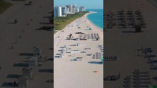 Miami Beach Life 🏝️ #shorts #miami #beach