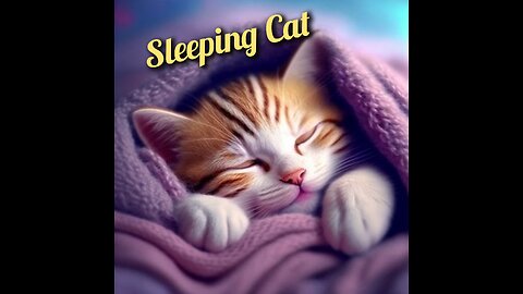 Sleeping Cat 😺 Joy Funny Factory