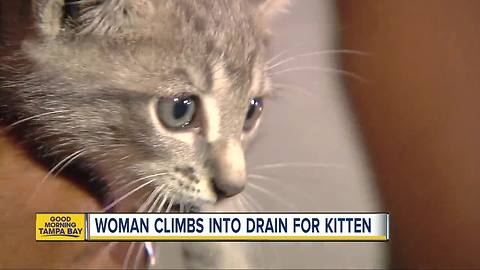 Tampa woman climbs into storm drain to rescue kitten