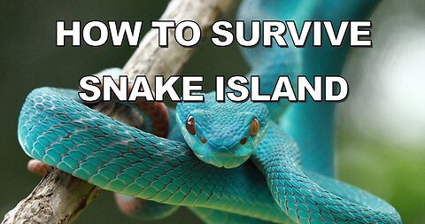 How to Survive Snake Island