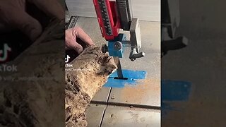 That bizarre #shorts #woodworking #shortvideo #subscribe #trending #reels #bandsaw #wood