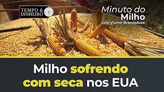 Milho começando sofrer com seca nos EUA