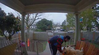 Dog passes out in front of Amazon delivery driver