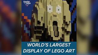 World's largest LEGO art display comes to Tampa