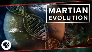 Martian Evolution