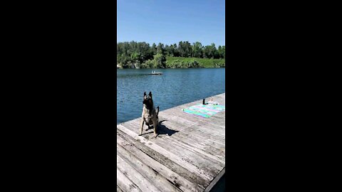 Dock divin