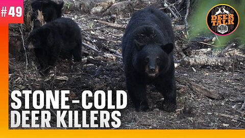 #49: STONE-COLD DEER KILLERS | Deer Talk Now Podcast