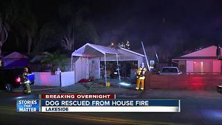 Lakeside house fire, firefighter rescues dog