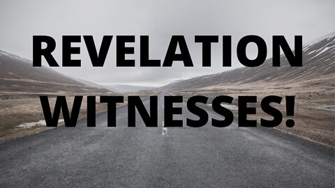 REVELATION 11 WITNESSES