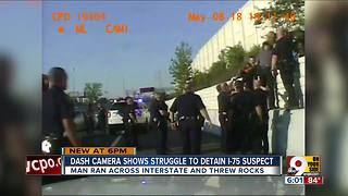 Video shows man fight officers on side of I-75