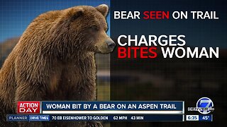 Woman bit by bear on Aspen trail