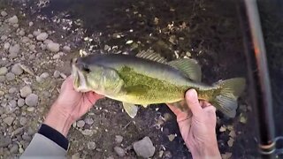 Engaging Bass Fishing - From the Bank - Lovely Day - Part 2