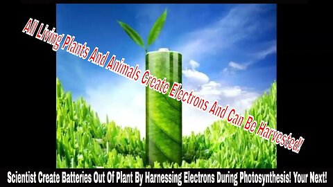 Scientist Create Batteries Out Of Plant By Harnessing Electrons During Photosynthesis! Your Next!