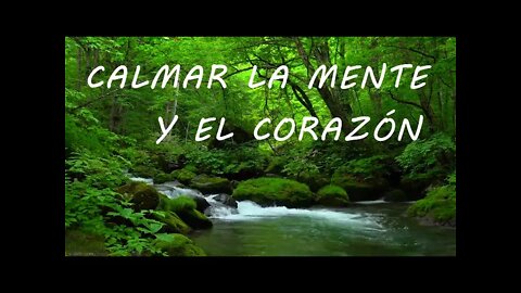 Relajación: Música para relajar y calmar la mente y el corazón - Sonidos de la Naturaleza