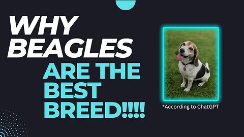 Why Beagles Are the Best Adventure Buddies - According to ChatGPT
