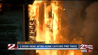 Family loses home and two dogs after fire