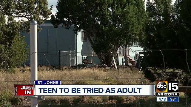 Teen accused of murdering woman to be tried as adult