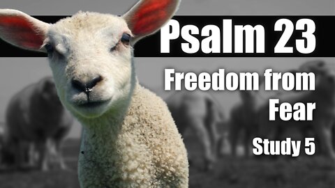 05 Psalm 23:2 Freedom from Fear