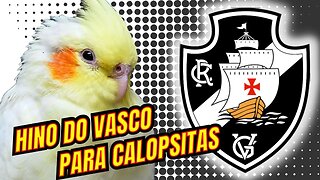 HINO DO VASCO PARA CALOPSITA