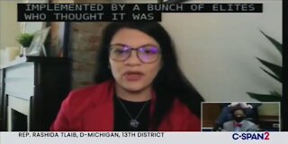 Rep Tlaib: It’s Shameful DC Isn’t A State Because Of Our Racist Founders