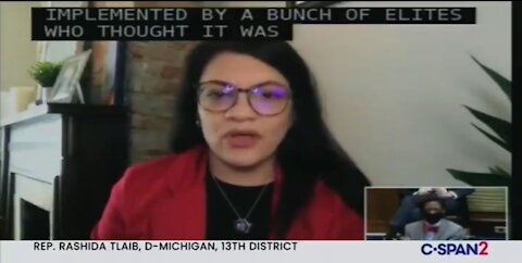 Rep Tlaib: It’s Shameful DC Isn’t A State Because Of Our Racist Founders