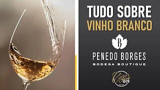Cigar 019 - DEGUSTAÇÕES COM O CHEF: Vinho Branco Penedo Borges - com Luiz Amaral e Luiz Ferraz